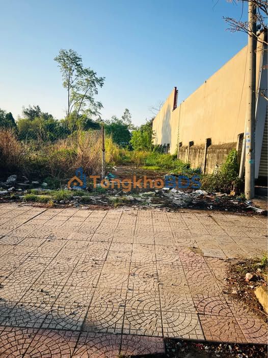 Đất nền QL14 Đồng Phú 160m² 2 tỷ - Đường to ô tô