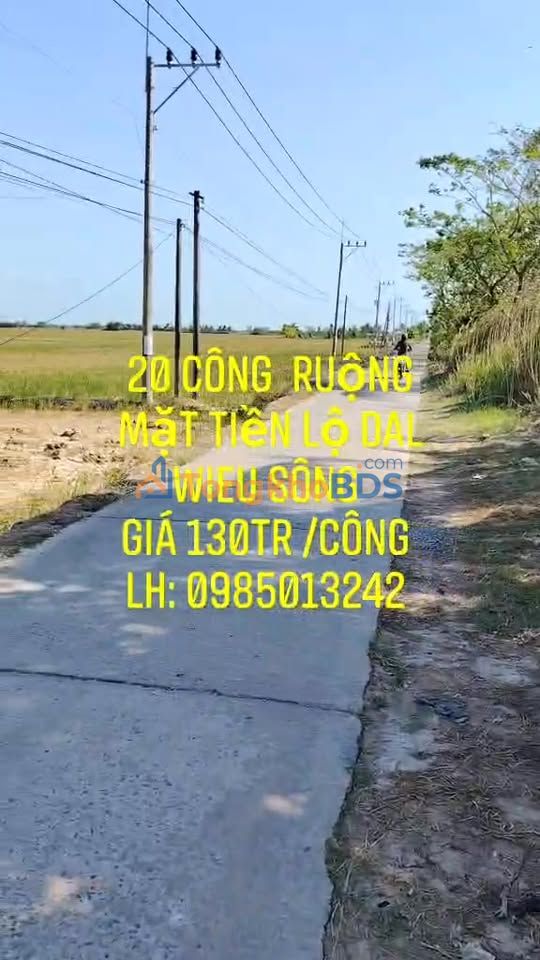 Đất nền Trần Đề Sóc Trăng 20.000m² 2.6 tỷ - Giá F0 CĐT