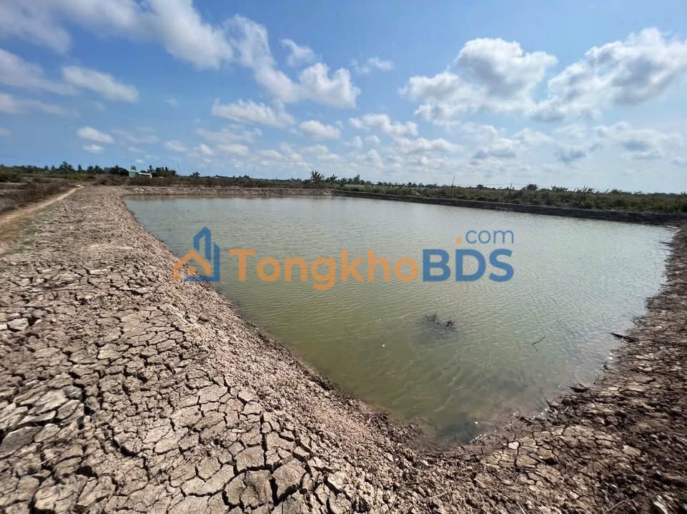 Đất Vĩnh Phước Vĩnh Châu 7.500m² 550 triệu - Sổ đỏ