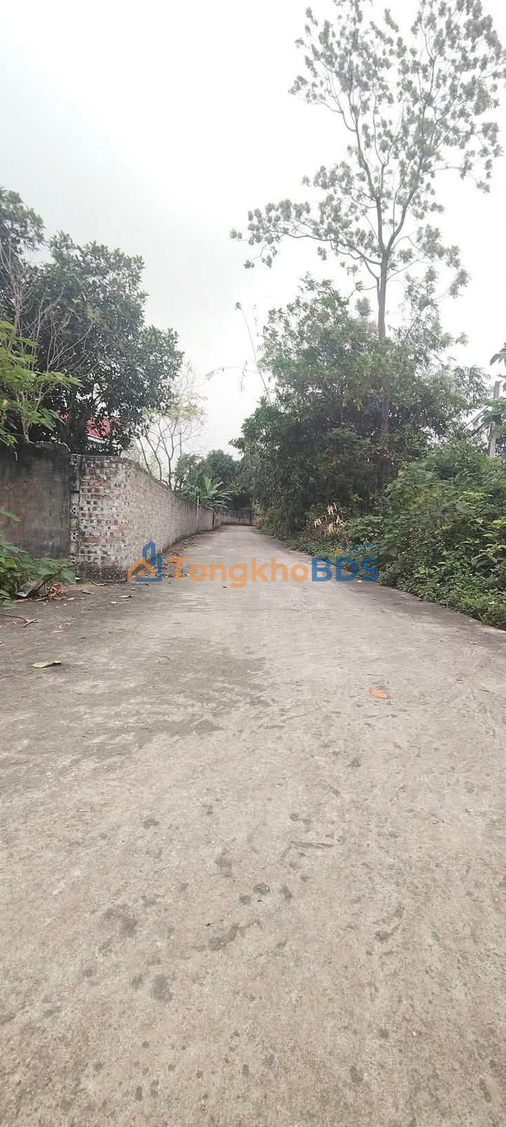 Đất Tam Quan Tam Đảo 147m² 450 triệu - Sổ đỏ chính chủ