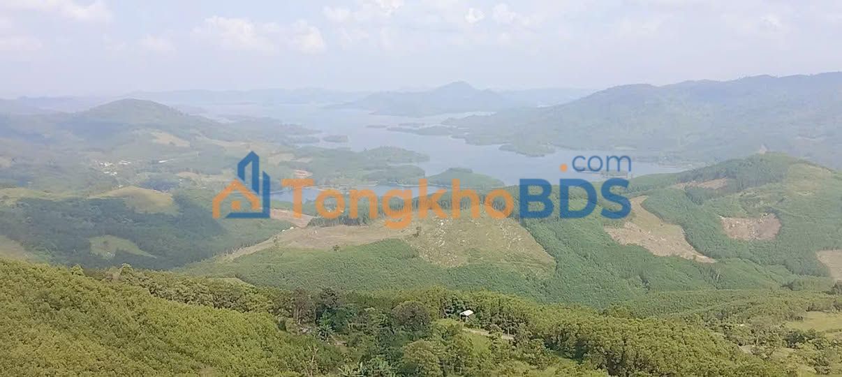 Đất vườn Bình Nguyên 10ha giá thỏa thuận - Đầu tư dài hạn