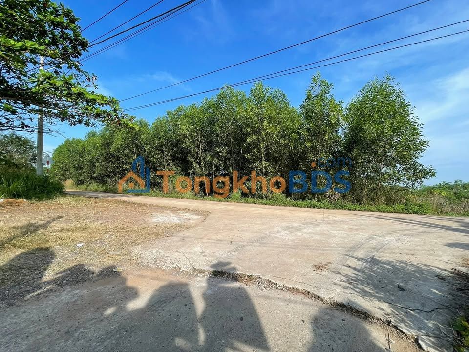 Đất nền Ấp 8 Xuân Đường Trảng Bom 15.189m² 84.383 tỷ - Sổ hồng riêng