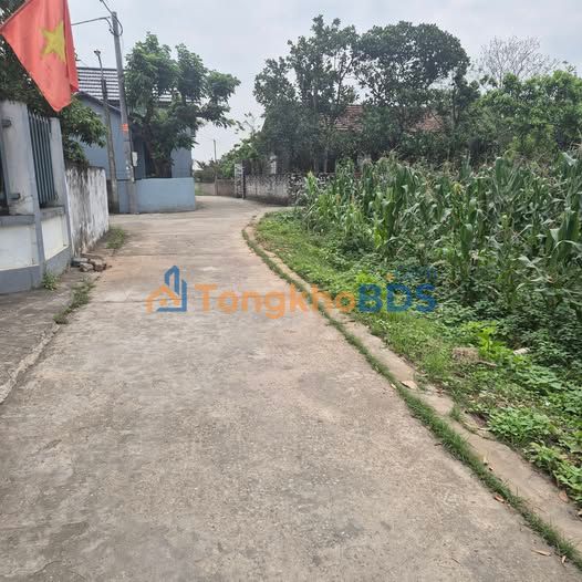 Đất Khánh Cư Yên Cư 110m² 1.05 tỷ - Sổ đỏ chính chủ