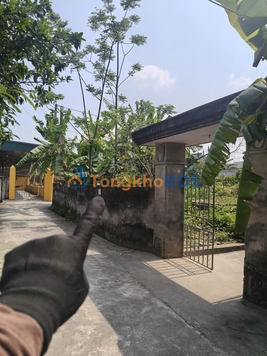 Đất nền Thôn Tư Cương An Cầu 122m² 6xx triệu - Đường ô tô