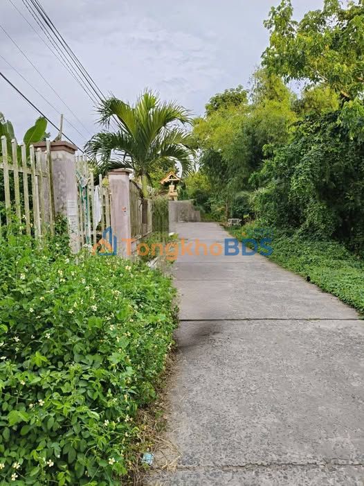 Đất vườn Chợ Mới 4800m² 3.6 tỷ - Nghỉ dưỡng lý tưởng