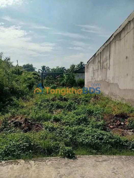 Đất Huỳnh Châu Tân An 76m² 700 triệu - Giá tốt hiếm có