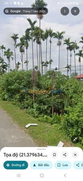 Bán Đất Mặt Tỉnh Lộ 315, Tam Nông, Phú Thọ - 93m² Giá Đầu Tư 5xx Triệu