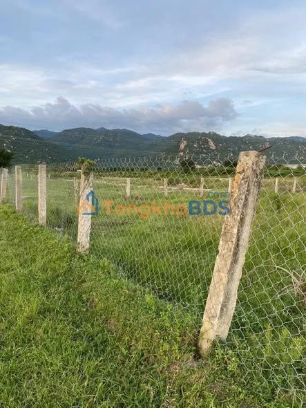 Đất Vĩnh Hảo Tuy Phong 5000m² View Suối - Sổ Đỏ, Chỉ 650 Triệu