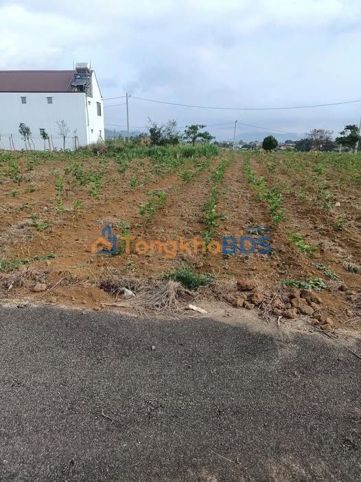 Đất Hẻm Nguyễn Trãi P2 Bảo Lộc 1.3 tỷ Sổ đỏ