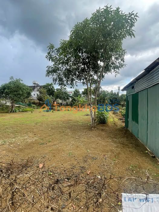 Đất nền Huỳnh Thúc Kháng Bảo Lộc 276m² 4.8 tỷ - Sổ đỏ chính chủ