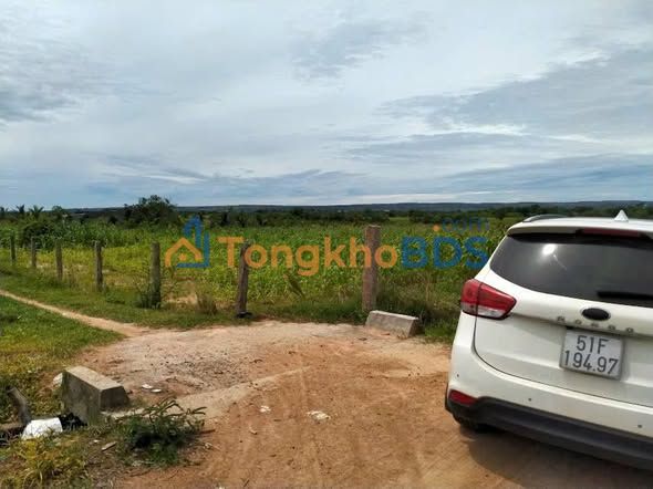 Đất nền Bắc Bình QL28B 5 công 3 tỷ - Sổ đỏ chính chủ