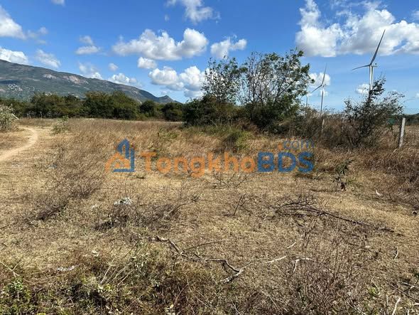 Đất nền Ba Tháp Bắc Phong 2700m² - Sổ đỏ chính chủ