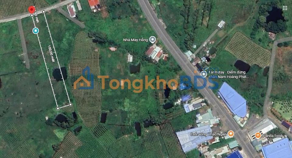 Đất Nền Hàm Thuận Nam 4100m² - Sổ Hồng Rõ Ràng, Giá Đầu Tư 7.5 Tỷ