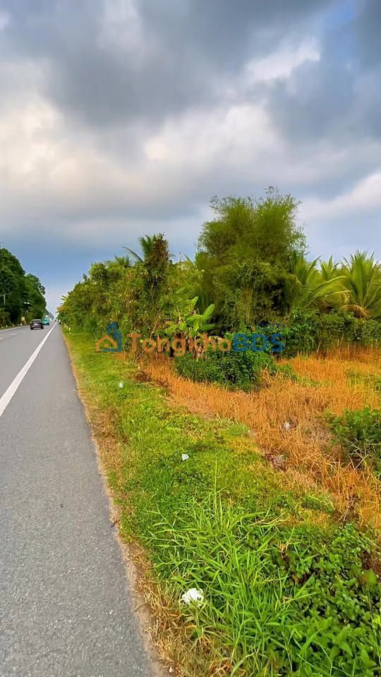 Đất nền QL61C Cần Thơ 3.700m² - Sổ đỏ chính chủ