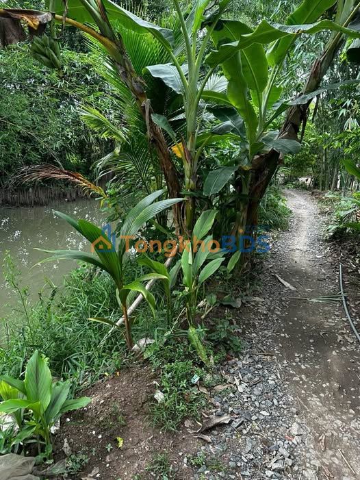 Đất Nền Thổ Cư 140m² Phường Thới Hòa, Ô Môn - Giá 450 Triệu