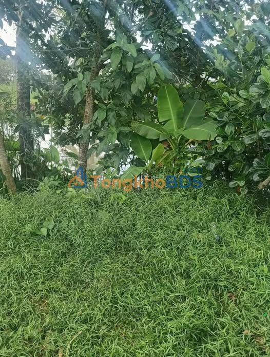 Đất Trường Long Phong Điền 613m² 800 triệu - Sổ đỏ chính chủ