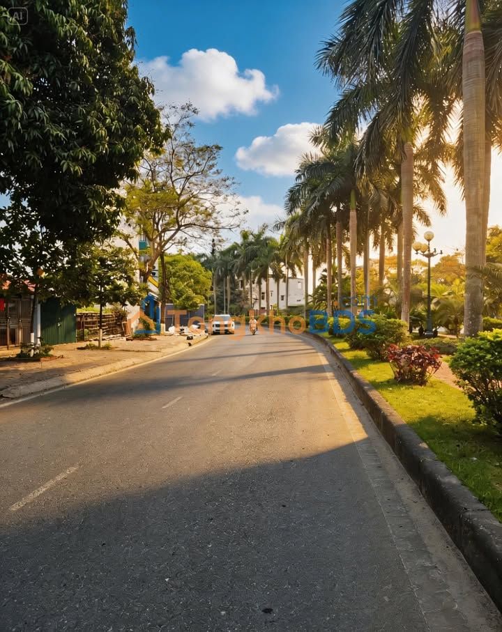 Đất nền Quang Trung Việt Trì 90m² 8 tỷ - Hạ tầng hoàn thiện