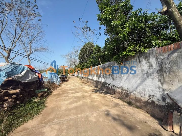 Đất nền Liên Châu 128m² giá 1.5 tỷ - Sổ đỏ chính chủ