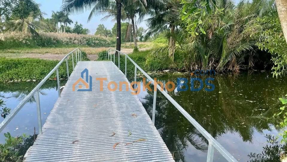 Bán Gấp Đất Vườn 1230m² Phường Lý Văn Lâm, Cà Mau - Sổ Hồng Sẵn Sàng