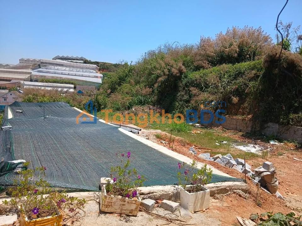 Đất nền Phường 7 Q8 65m² 780 triệu - Pháp lý rõ ràng