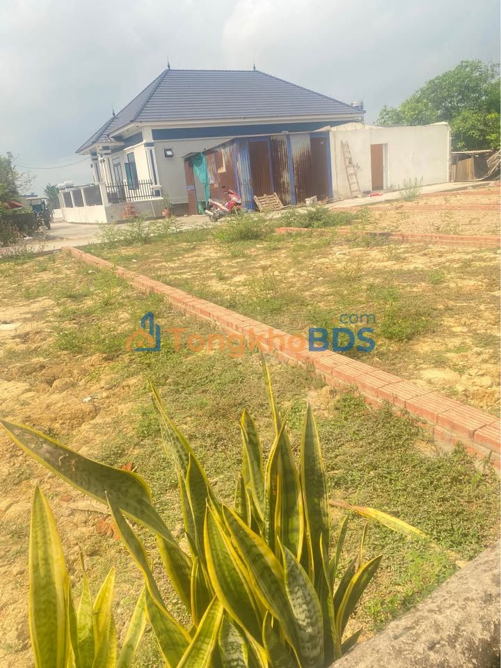 Dat Quang Thanh An Duong 65m2 so hong san - San xay ngay