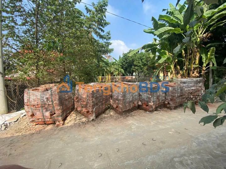 Đất nền Thanh Vân Tam Dương 293m² 1,7 tỷ - Sổ đỏ