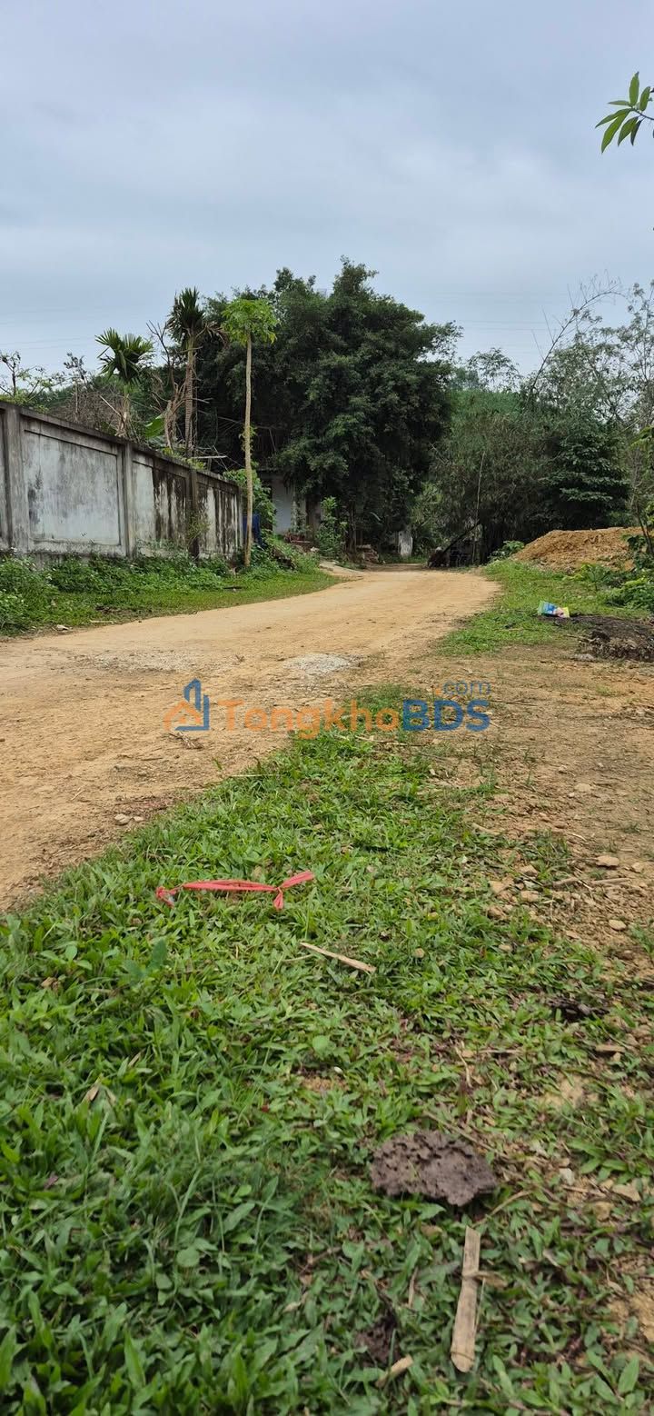 Đất Thọ Sơn Yên Định 1.140m² - Sổ đỏ chính chủ