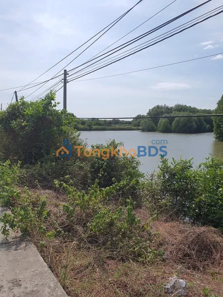 Đất vườn Viên An Đông 50.000m² 2.9 tỷ - Đầu tư dài hạn