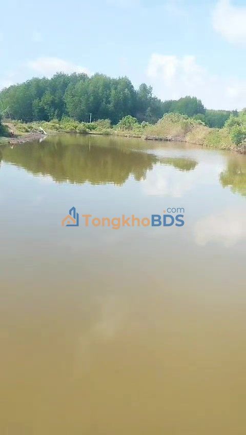 Bán Gấp 50.000m² Đất Vườn Xã Phan Ngọc Hiển, Cà Mau - Sổ Xanh Chính Chủ