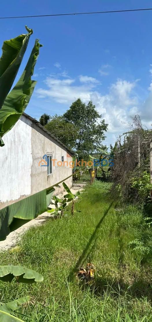 Đất nền Huyện Vĩnh Lợi 112m² 780 triệu – Sổ đỏ chính chủ