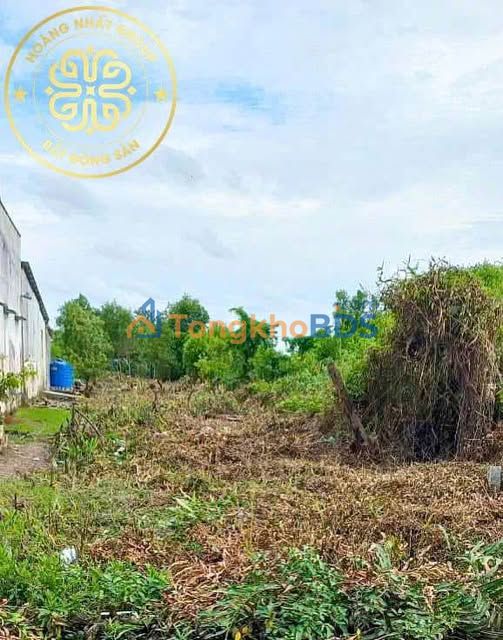 Đất nền An Xuyên Cà Mau 501m² 650 triệu - Hạ tầng hoàn thiện