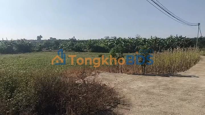 Đất nền Xuân Tây 200m2 1.9 tỷ - Sổ đỏ chính chủ