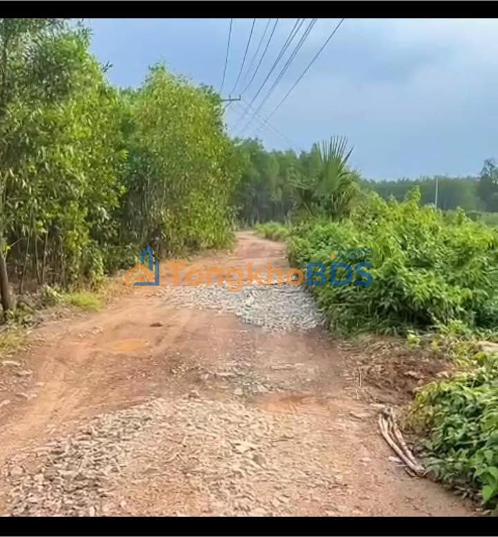 Đất nền Xuân Hòa Đồng Nai 14.000m² - Sổ đỏ chính chủ