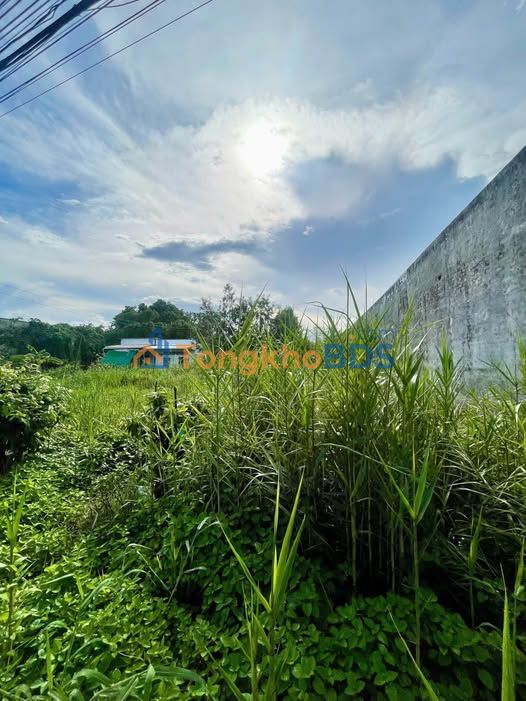 Đất nền Phường 8 Cà Mau 198m² 1.35 tỷ - Sổ hồng chính chủ