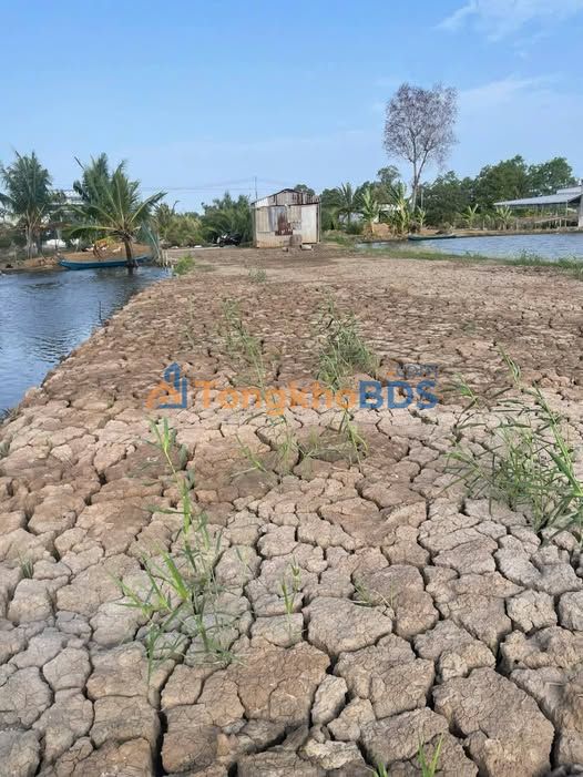 Đất nền Khánh Hòa U Minh 4.500m² 495 triệu - Sổ hồng rõ ràng