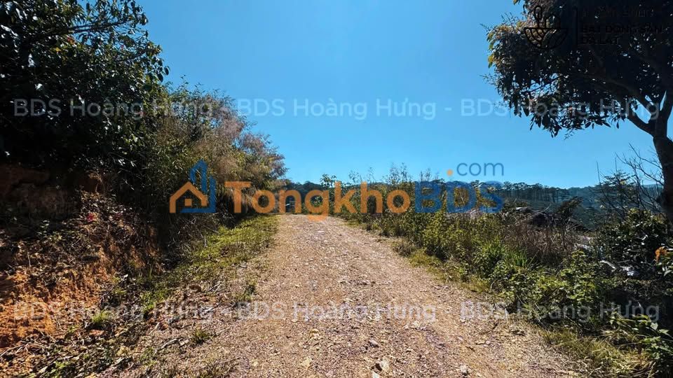 Đất nền Xuân Trường Đà Lạt 7500m² 2.1 tỷ - Đường ô tô