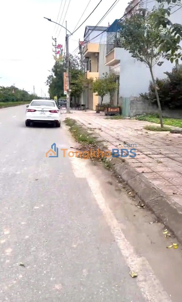 Đất Tiền Hải Thái Bình 90m² giá thỏa thuận - Đường to ô tô