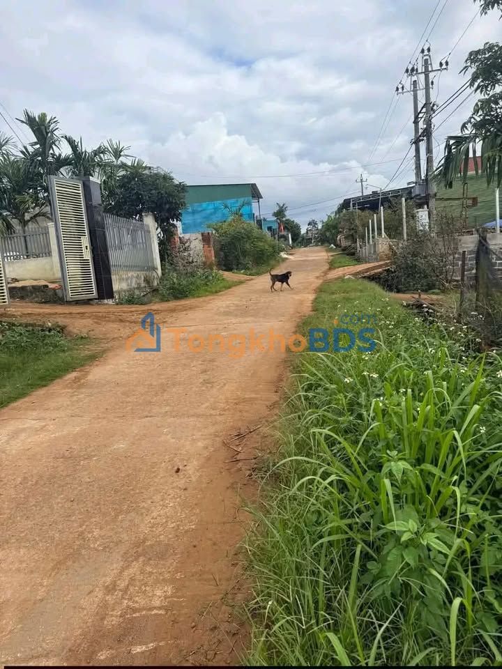 Đất nền Gò Vấp 1.000m² giá 1,2 tỷ - Giá đầu tư tốt