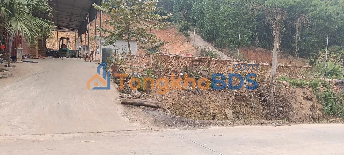 Đất nền Đèo Gia Lục Ngạn 205m² 1,01 tỷ - Sổ hồng chính chủ