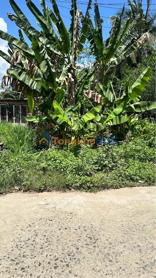 Đất nền Nha Trang Nguyễn Xiển 97m² 1,55 tỷ - Sổ đỏ chính chủ