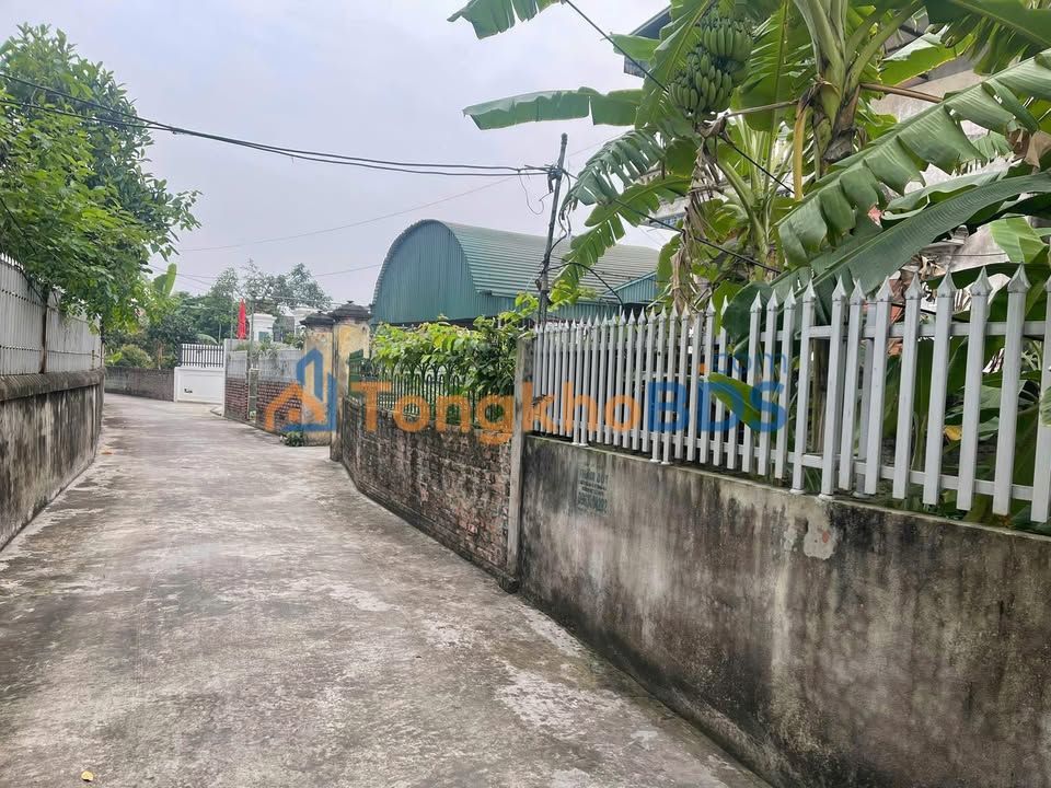 Đất nền An Lão Hải Phòng 250m² 1.3 tỷ - Sổ đỏ chính chủ