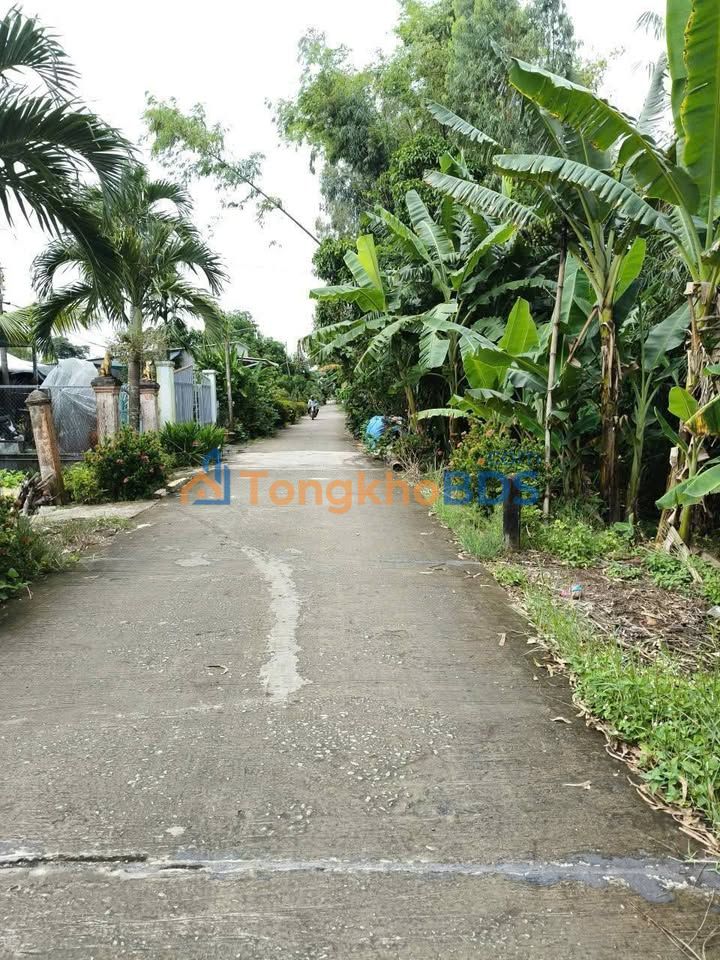 Đất nền Long Kiến Chợ Mới 114m² 4xx triệu - Sổ đỏ chính chủ