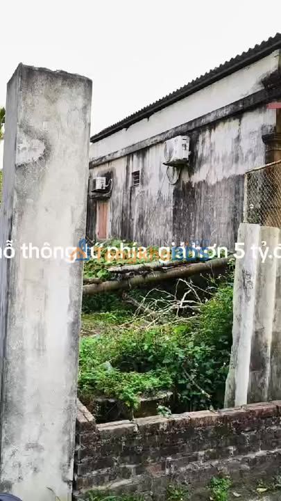 Đất nền Kiêu Kỵ Gia Lâm 50m² 5 tỷ - Sổ đỏ chính chủ