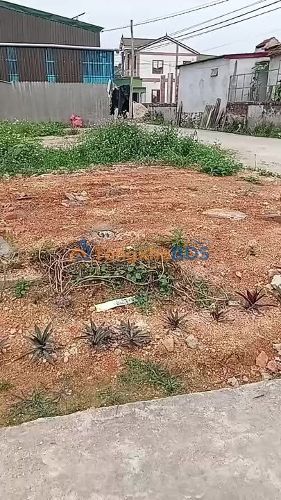 Đất nền Vinh N5 115m² 1 tỷ, full thổ - Sổ đỏ chính chủ