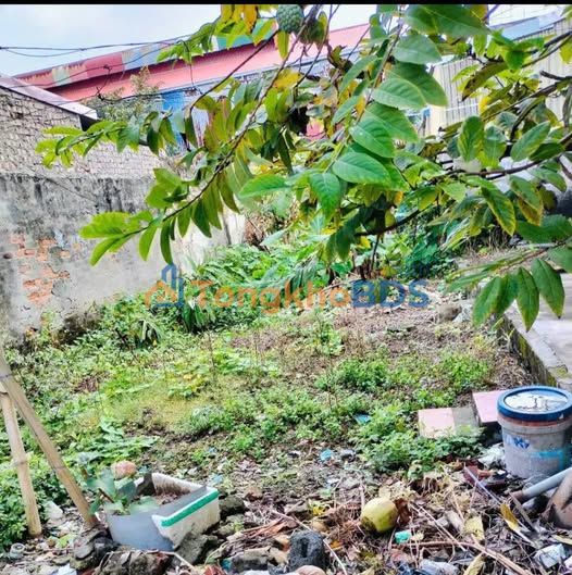 Đất Nguyễn Lương Bằng Kiến An 110m² 2,2 tỷ - Tiềm năng tăng giá