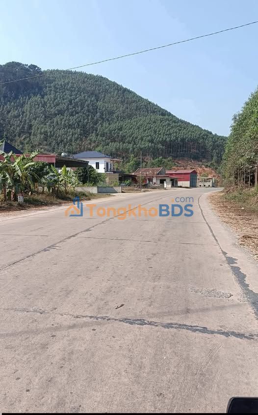 Đất nền TL293 Lục Sơn 202m² 988 triệu - Đường ô tô