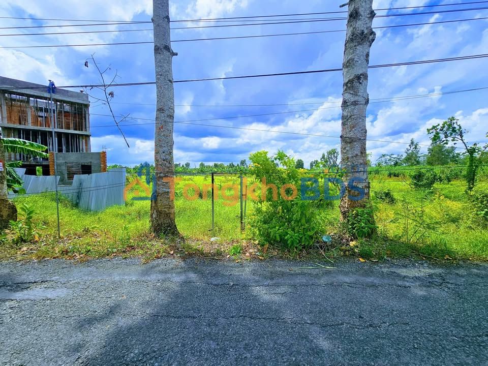 Đất nền Cái Chanh, Châu Thành 1.209m²/2.9 tỷ - Pháp lý rõ ràng