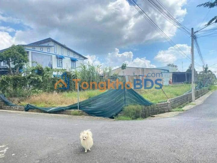 Đất nền Bảo Lộc Lộc Châu 352m² 2.99 tỷ - Đường to ô tô