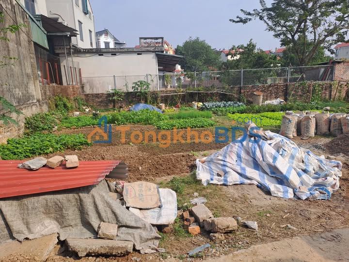 Bán đất thổ cư 80m² Đồng Mai, Hà Đông - 1.35 tỷ, ô tô vào nhà