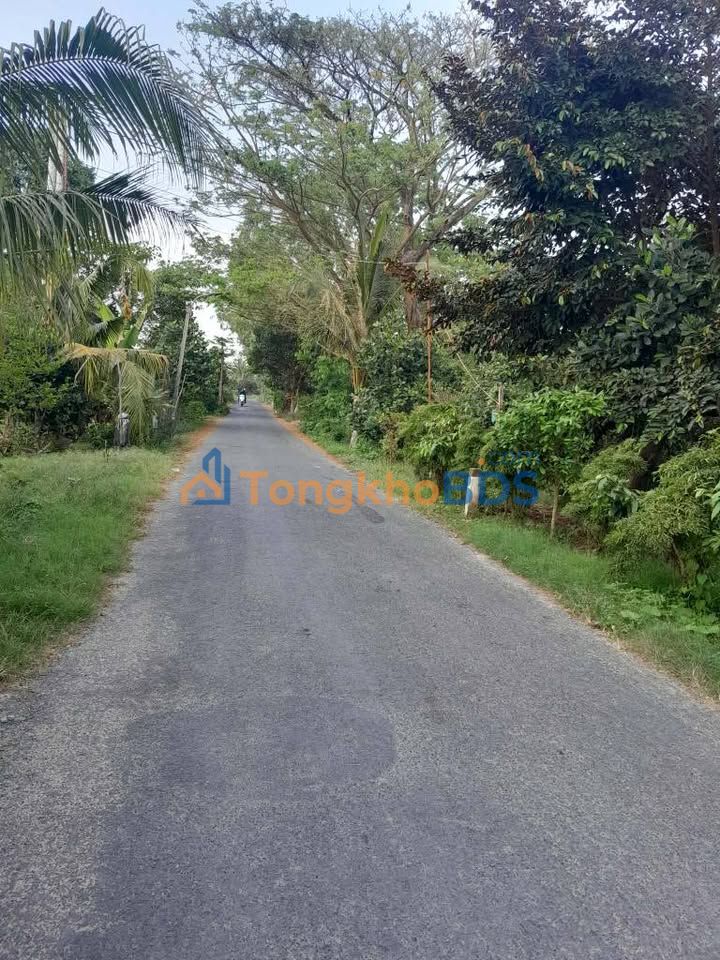 Đất nền Cần Đăng Châu Thành An Giang 432m² giá 1.3 tỷ - Đường to ô tô